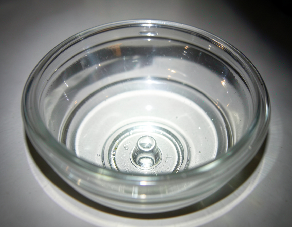 Clear inspection bowl on a fuel water separator